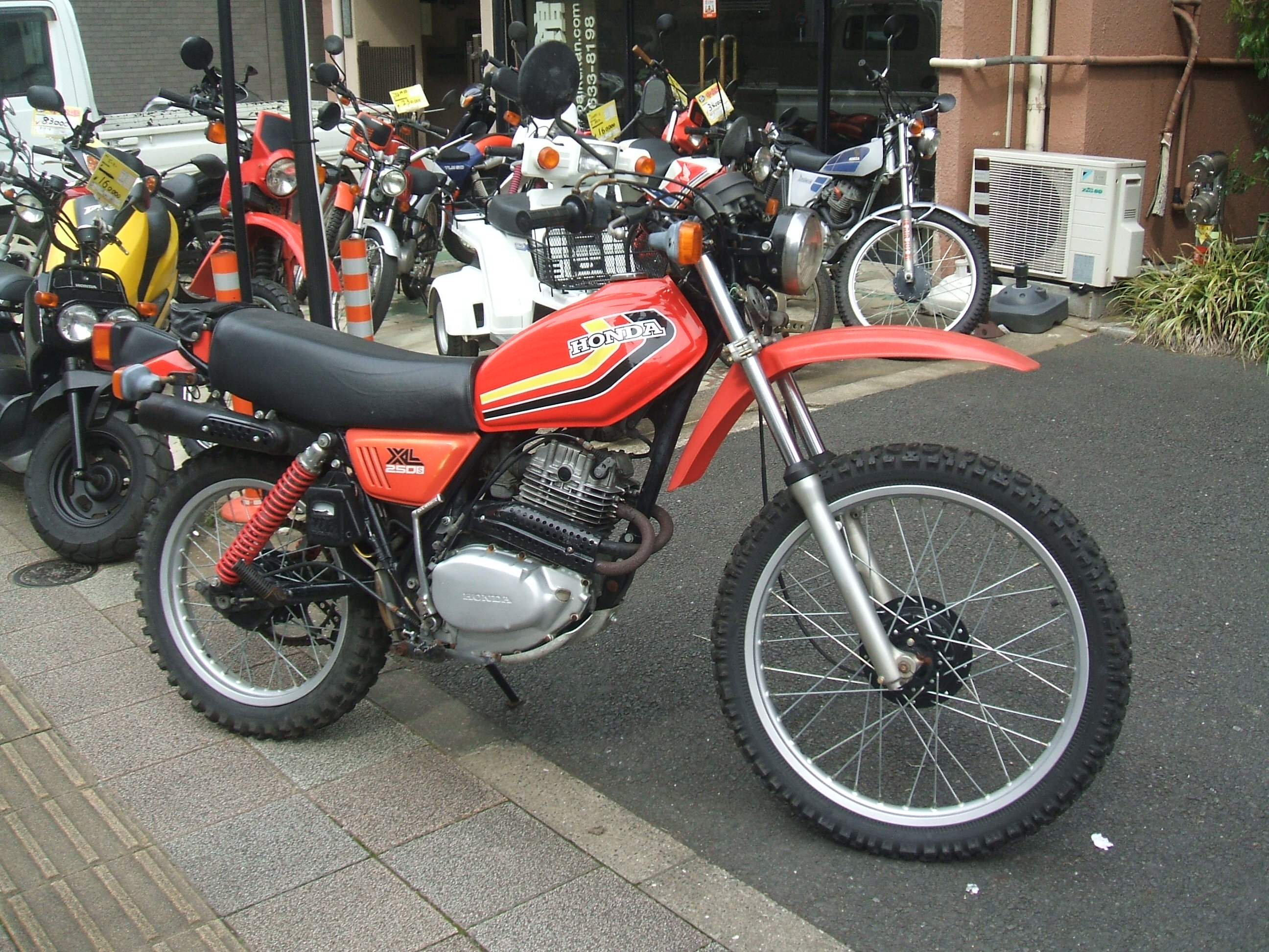 32561252.1.jpg