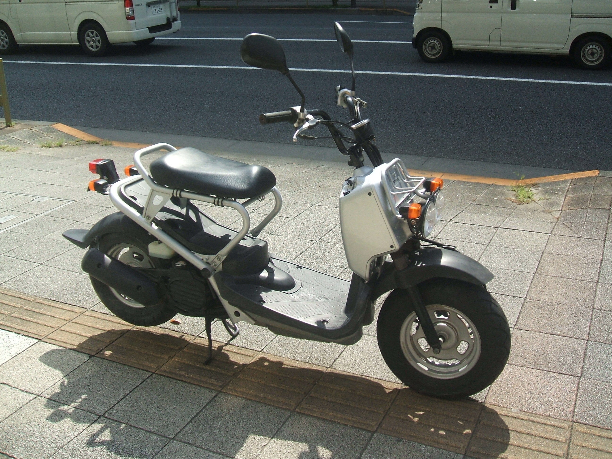 54291297.1.jpg